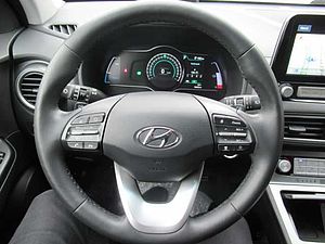 Hyundai  EV Style
